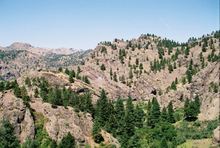 [Rolling rock dotted with numerous evergreens, but only in a few places are they so thick one can not seen the rock. The evergreens are a bright splotch of color on the tan rock.]